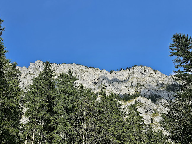 Comentarii opinii despre Leopoldsteinersee Gastro Betriebs KG Strandbuffet