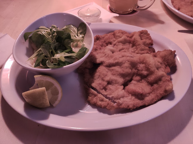 Comentarii opinii despre Wiener Stadtbräu