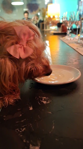 Park Haus - Das Cafè