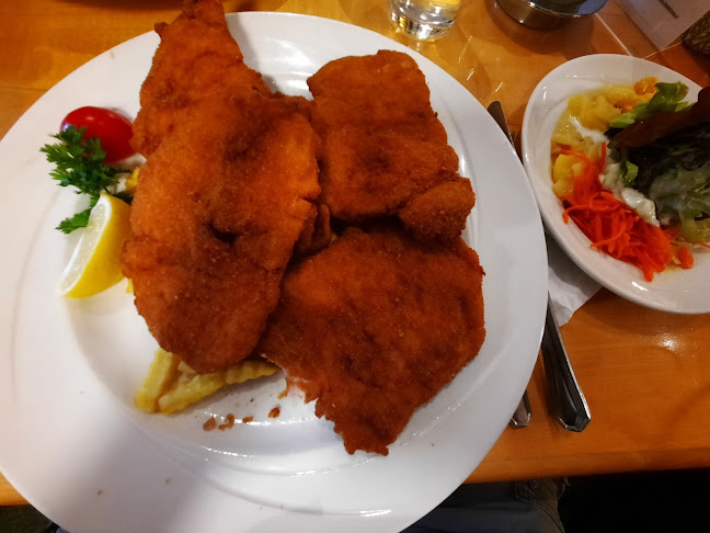 Haydnbräu - Gastronomie und Hotellerie