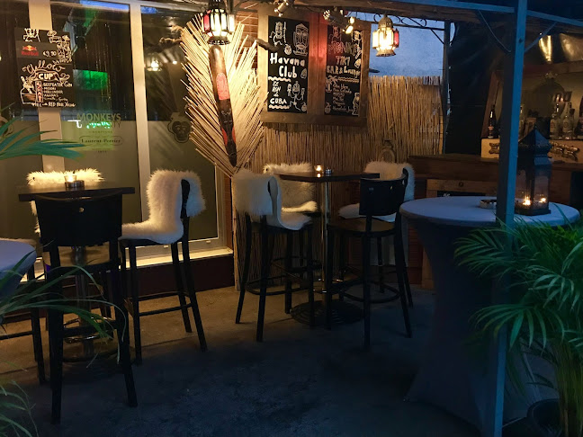 Comentarii opinii despre Monkeys University