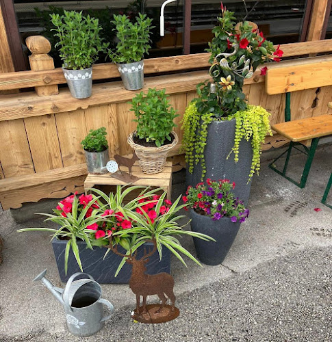 Gleisalm - Achenseebahnstüberl - Gastronomie und Hotellerie