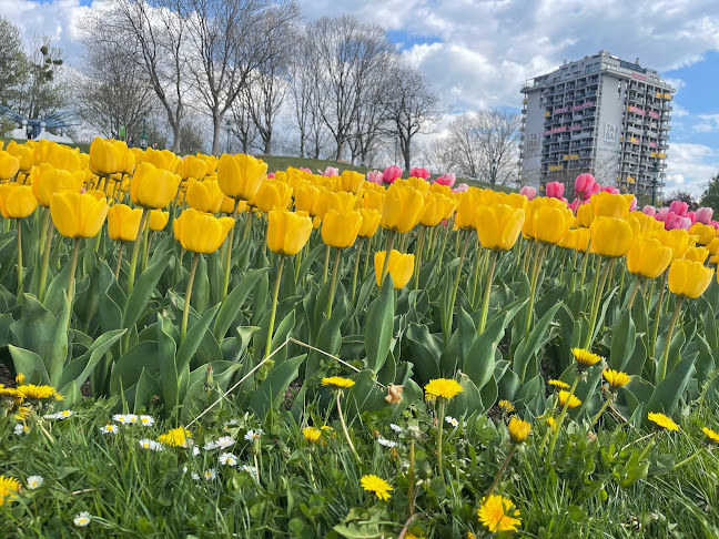 Comentarii opinii despre DISTRICT