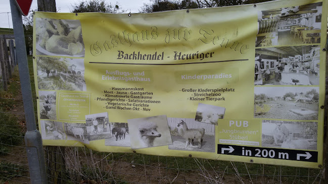 Comentarii opinii despre Gasthaus z Tenne