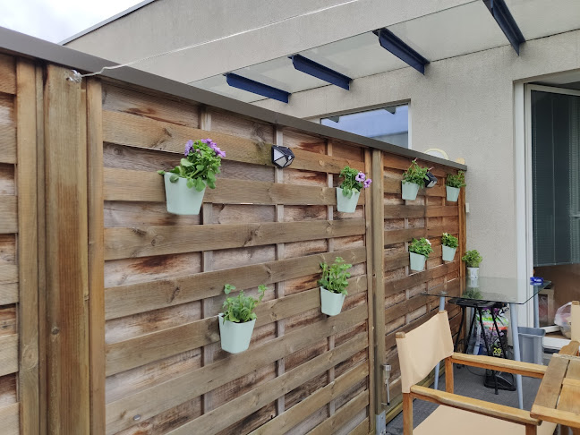 Comentarii opinii despre Lux Garden