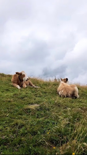 Hahnenkam Rennen Bar And Self Service - Gastronomie und Hotellerie
