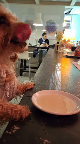 Opinii despre Park Haus - Das Cafè în Klagenfurt am Wörthersee - Gastronomie und Hotellerie