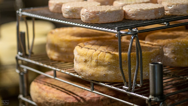 Comentarii opinii despre Hofladen Samshofbauer