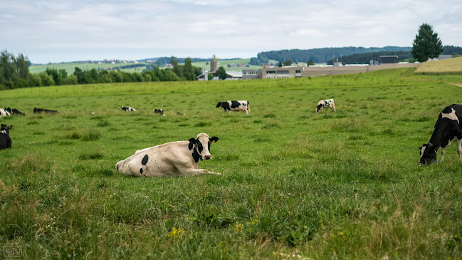 Opinii despre Hofladen Samshofbauer în Neumarkt am Wallersee - Gastronomie und Hotellerie