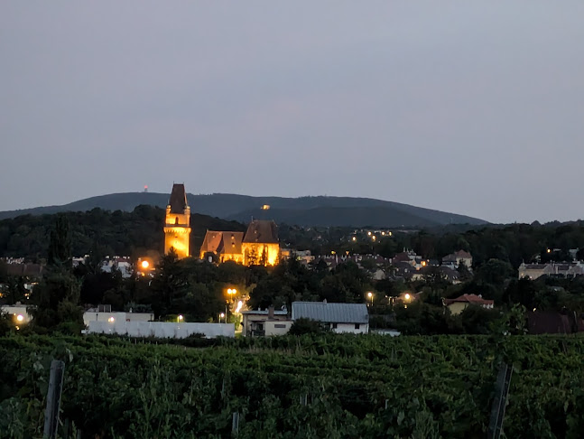 Comentarii opinii despre Mohrenberger Alm 2