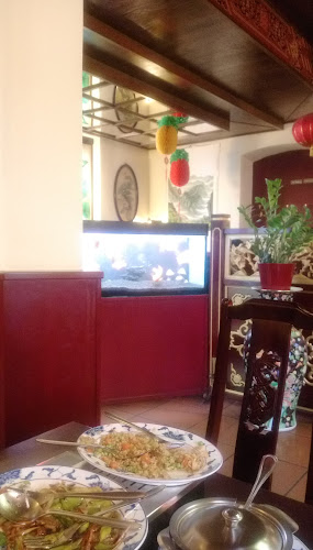 Opinii despre China-Restaurant Asien GesmbH în Oberndorf bei Salzburg - Gastronomie und Hotellerie