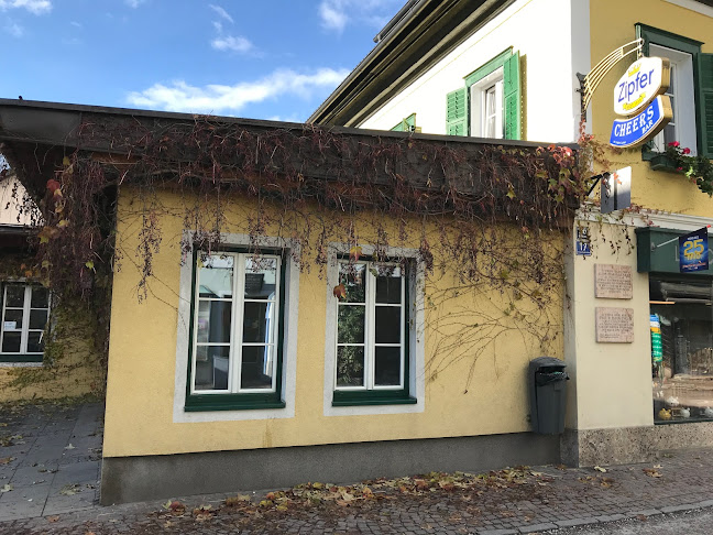 Dischgu - Bad Goisern am Hallstättersee