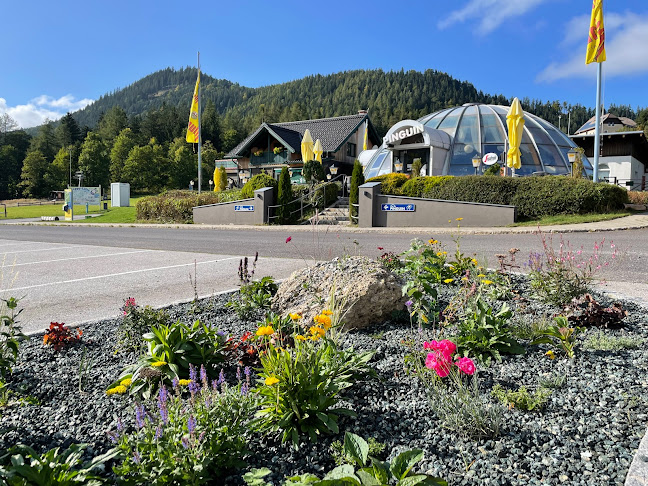 Pinguin Iglu - Gastronomie und Hotellerie