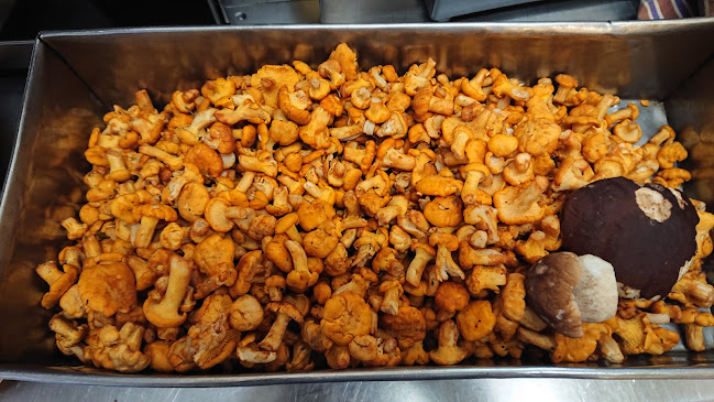 Opinii despre Gasthof Lendl în Mürzzuschlag - Gastronomie und Hotellerie