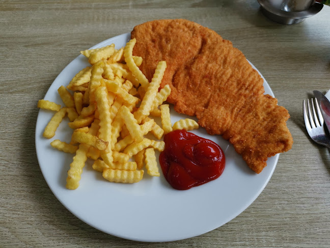 Comentarii opinii despre Schnitzelhaus Wolkersdorf