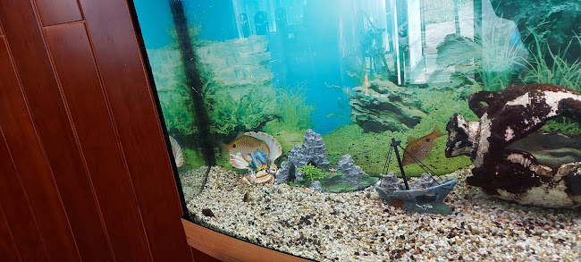 Maria-Kuhn-Gasse 6, 1100 Wien