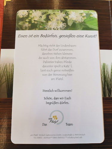 Amlach Gastronomie Am Platzl - Gastronomie und Hotellerie