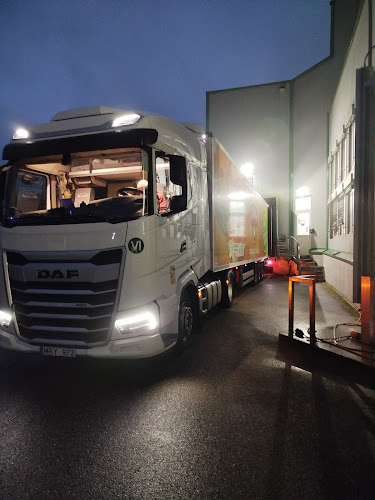 Comentarii opinii despre GREISINGER