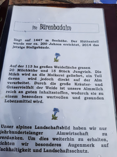 Comentarii opinii despre Bärenbadalm Pertisau (Karwendel)