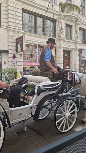 Opinii despre Lebenbauer în Wien - Gastronomie und Hotellerie