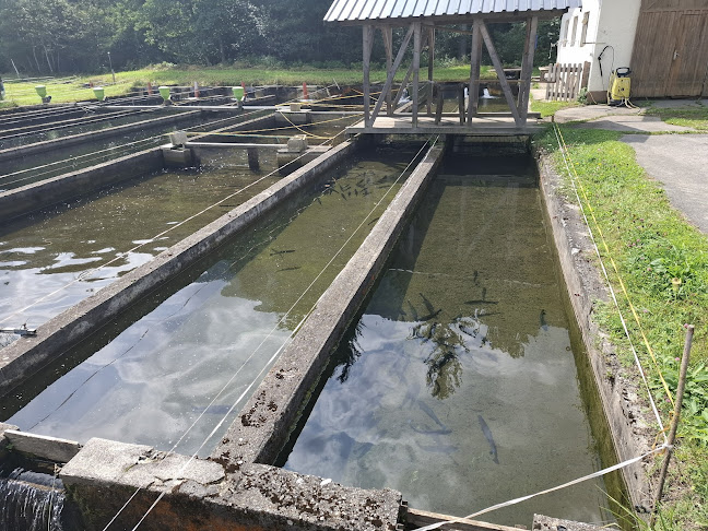 Anraun 2, 9631 Jenig