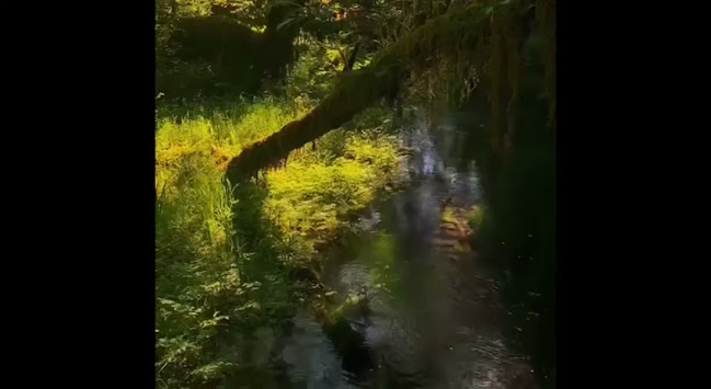 Mittergasse 5, 3620 Spitz