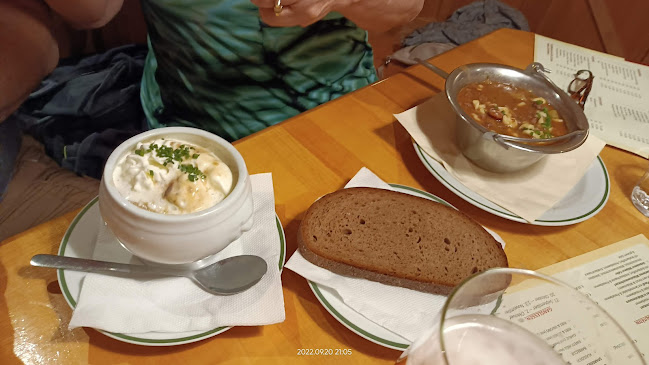 Restaurant @ Hotel Zum Dorfmeister Wirt - Weikersdorf am Steinfelde