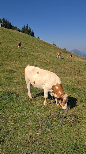 Huberbräu-Stüberl - Gastronomie und Hotellerie