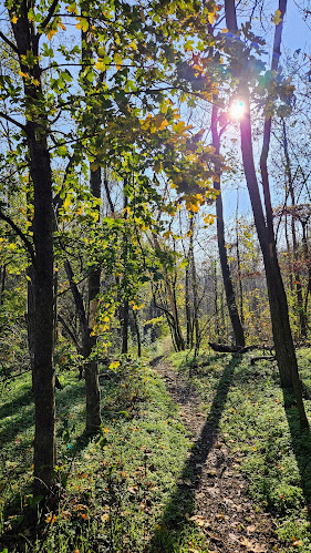 Opinii despre Wasserskischule Riess & Partner OEG în St. Andrä-Wördern - Gastronomie und Hotellerie