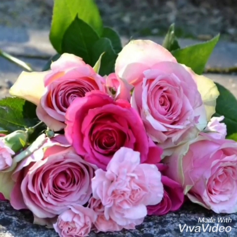 Poldi Fitzka - Krems an der Donau