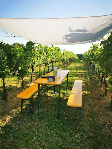 In d. Kellergasse 31, 2464 Arbesthal