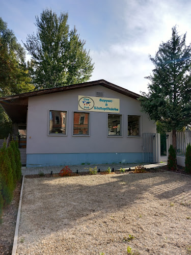 Neubau 8, 2000 Stockerau