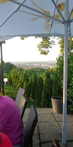 Comentarii opinii despre Panoramarestaurant