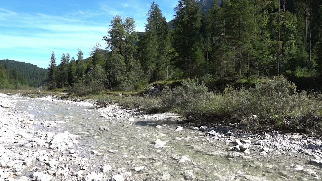 Opinii despre Ammerwald-Alm în Vils - Gastronomie und Hotellerie