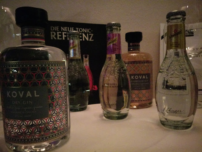 Comentarii opinii despre KREUZ BAR Bregenz