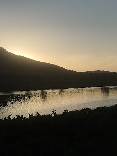 Auerhahns Strandbar - Gastronomie und Hotellerie