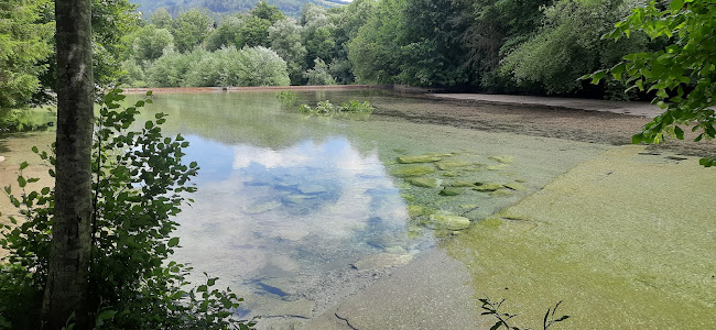 Comentarii opinii despre Gasthaus Schatzlmühle