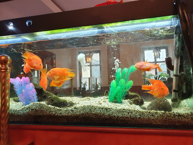 Weinzierl 30, 3500 Krems an der Donau