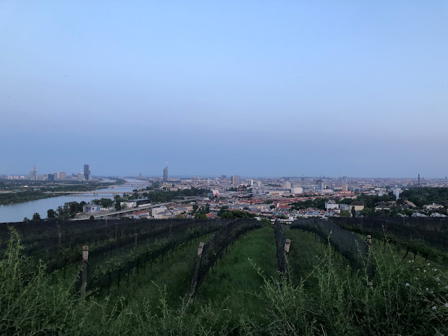 Sonnenheim, Historic Wien bar - Wien