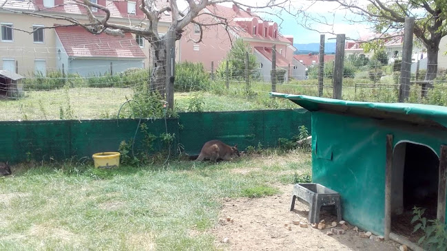 Gasthaus z Tenne - Bad Tatzmannsdorf