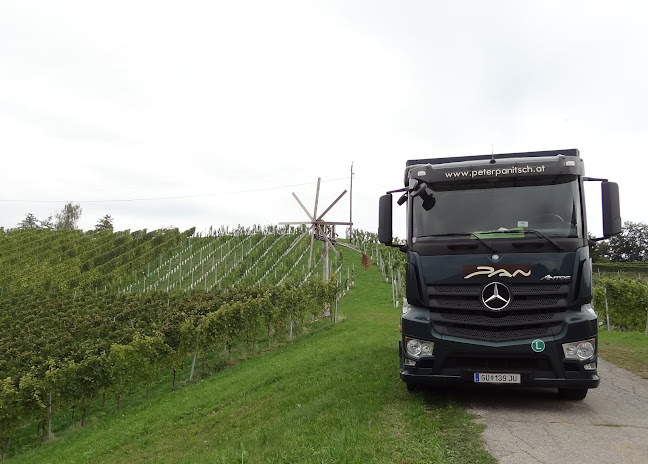 Peter Panitsch GmbH