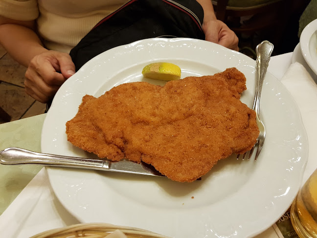 Opinii despre Restaurant Stöger în Wien - Gastronomie und Hotellerie