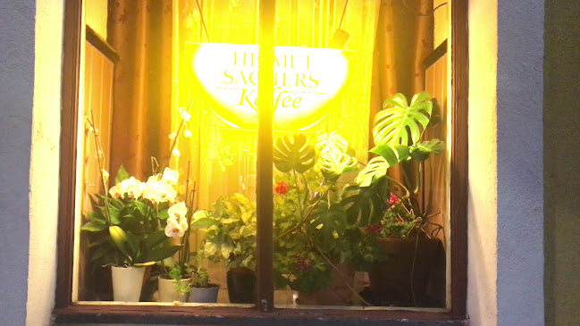 Opinii despre Gasthaus Dani în Wien - Gastronomie und Hotellerie