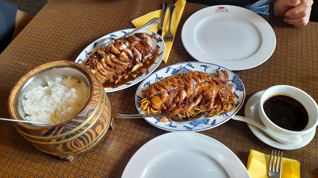 Opinii despre LOTUS Chinarestaurant în Saalfelden am Steinernen Meer - Gastronomie und Hotellerie