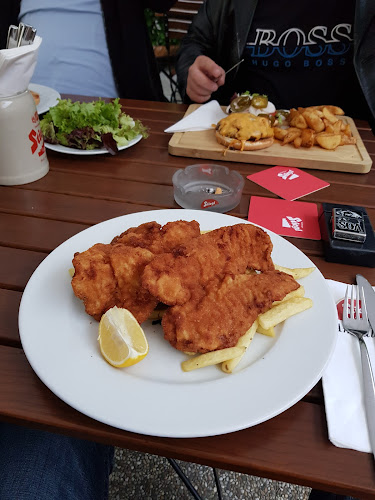 Comentarii opinii despre Stiegl-Ambulanz