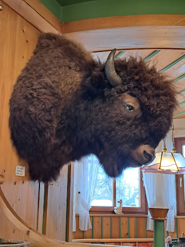 Comentarii opinii despre Ramsau Stub'n