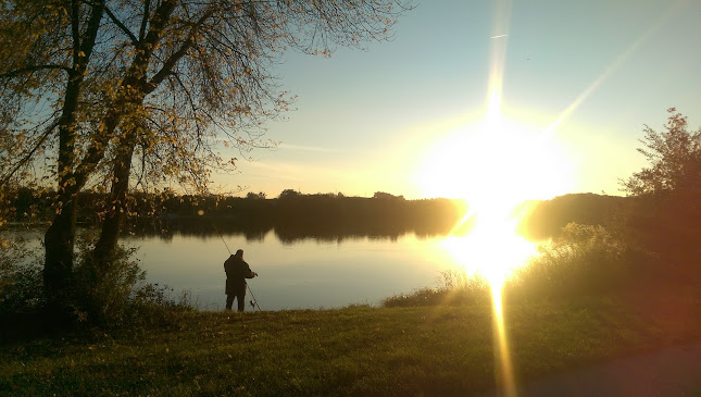 Raffelstettnerstraße, 4030 Linz