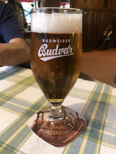 Opinii despre Böhmerwald în Wien - Gastronomie und Hotellerie