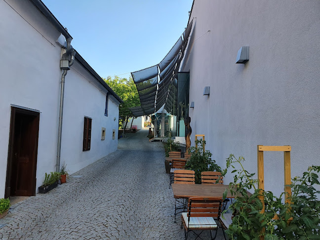 Comentarii opinii despre Zum echten Leben - Kaffeehaus & Weinbar