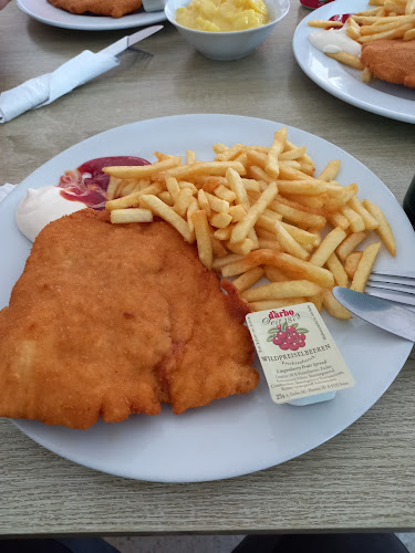 Opinii despre Schnitzelhaus Wolkersdorf în Wolkersdorf im Weinviertel - Gastronomie und Hotellerie